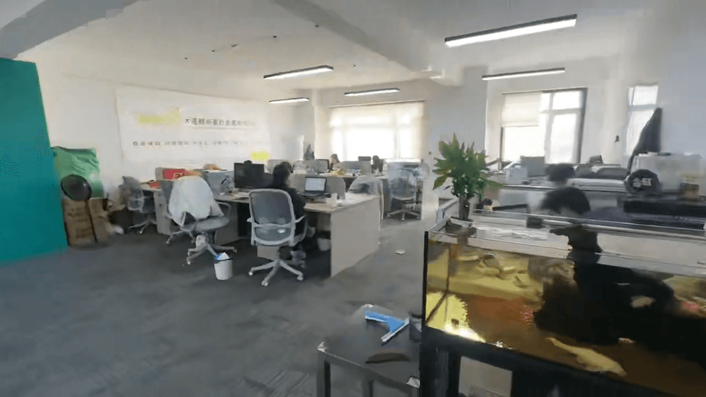 專業服務，家的港灣 大連鯨嶼家政服務引領品質生活新風尚