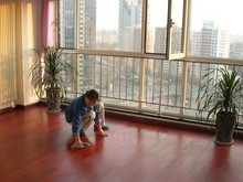 大連家政服務指南 精選公司電話與專業服務解析