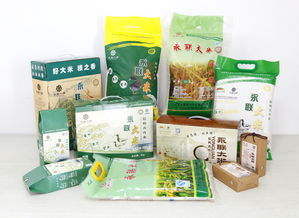 永聯村茶座 田園中的詩意棲息