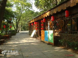 茶座 流光里的藝術(shù)棲所